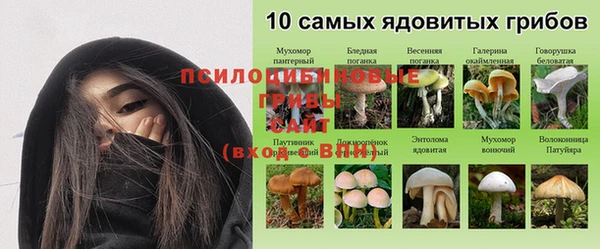 мдма Бородино