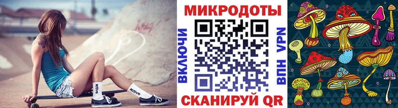 Псилоцибиновые грибы мухоморы Дальнереченск